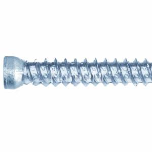 PARCO® Śruba montażowa łeb walcowy TX30 7,5 x 52 mm 100 sztuk