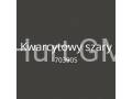 Kwarcytowy szary.png